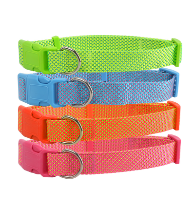 Hundehalsbånd W2.5*L40-60cm - Pink/Fluorescerende Orange/Fluorescerende Grøn/Bleg Blå