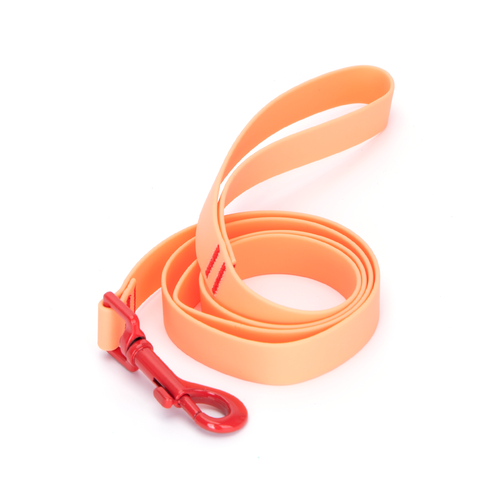 Farvet PVC Hundeline - 2.0cm W x 120cm L - Blå/Grøn/Pink/Orange