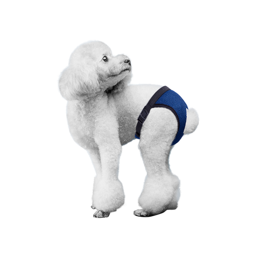 Beskyttelsesbukser / ble / bind til hunde M (L: 35-43cm) - Mørkeblå