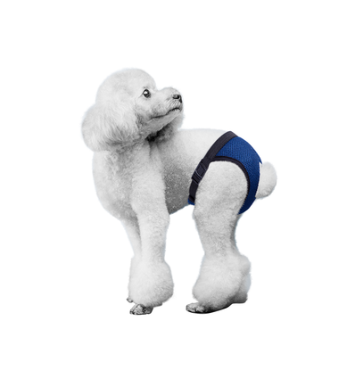 Beskyttelsesbukser / ble / bind til hunde XL (L 50-59 cm) - Mørkeblå