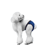 Beskyttelsesbukser / ble / bind til hunde XL (L 50-59 cm) - Mørkeblå
