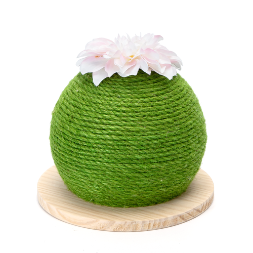 Kaktus Kattekløsebolde - D23*H23 cm - Grøn