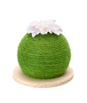 Kaktus Kattekløsebolde - D23*H23 cm - Grøn
