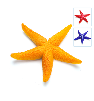 Fluorescerende Søstjerne - L, 12x11x1,5 cm, Rød/Orange/Blå