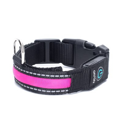 USB-Genopladeligt LED Hundehalsbånd - W2.5*L41-51cm, Medium, Grøn