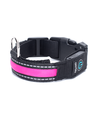 LED Hundehalsbånd USB-Genopladeligt - W2,5 x L51-61cm (L) - Pink