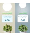 Aigostar LED A5 A60 7W, E14 fatning - 6400K, Sæt med 5 stykker