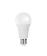 LED A5 A60 E27 21W 3000K Dobbelt-Pakke