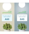 LED A5 G45 - E27 7W, 6500K, Stor Spredning
