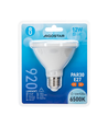 LED PAR30 E27 12W - 6500K