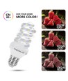 LED B5 Spiral 9W E27 - 6500K