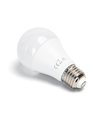 LED A5 A60 Stor Spredning E27 12W 6500K