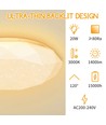 LED-Loftlampe Diamond 20W 3000K Stjerneeffekt Påbygningsmodel