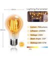 LED Filament A60 E27 8W 2200K Amber